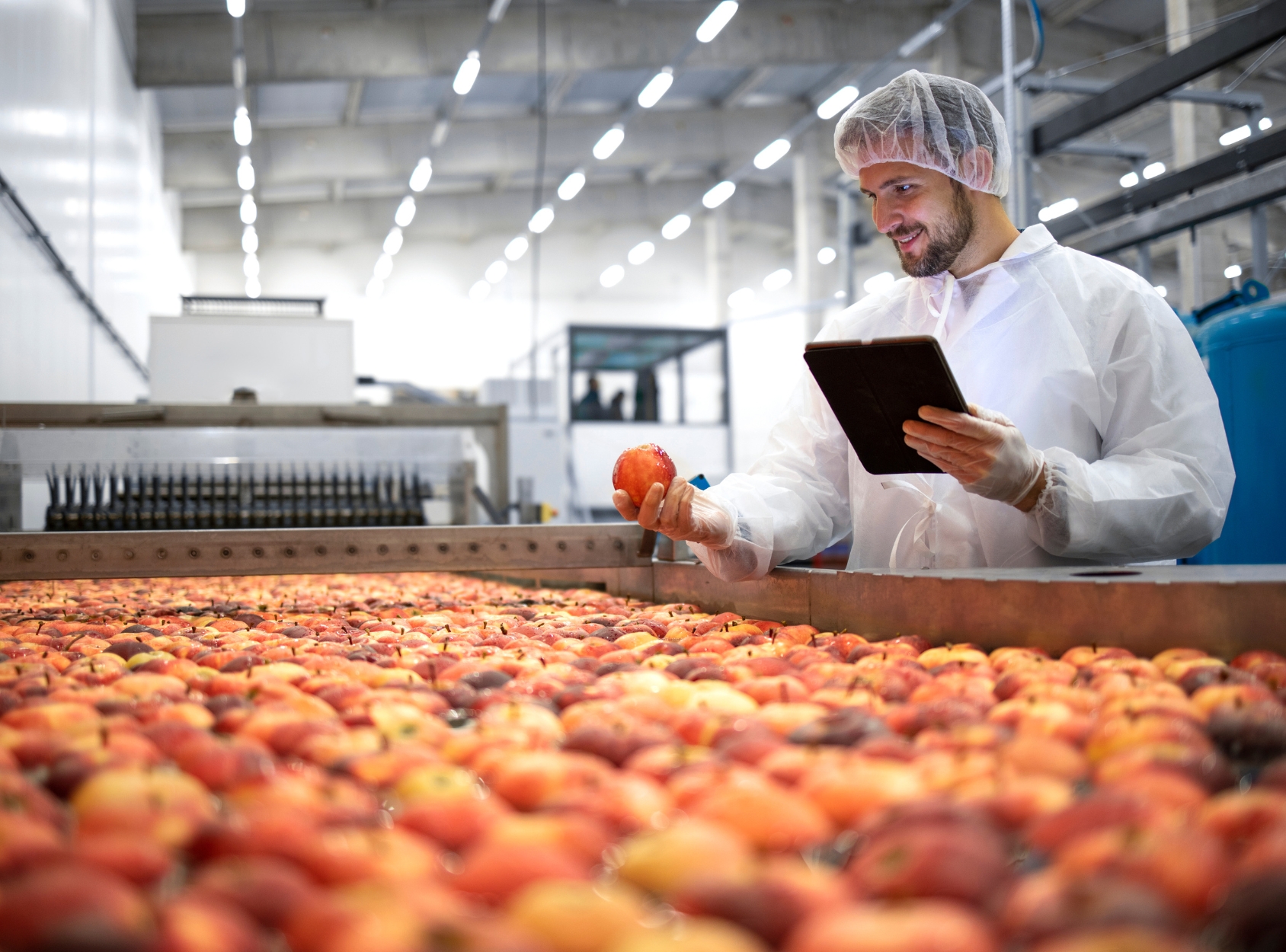 Ozone treatment for food processing